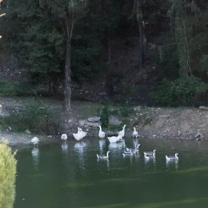 https://tenuta-la-bandita-sassetta.it-tuscanyhotel.com